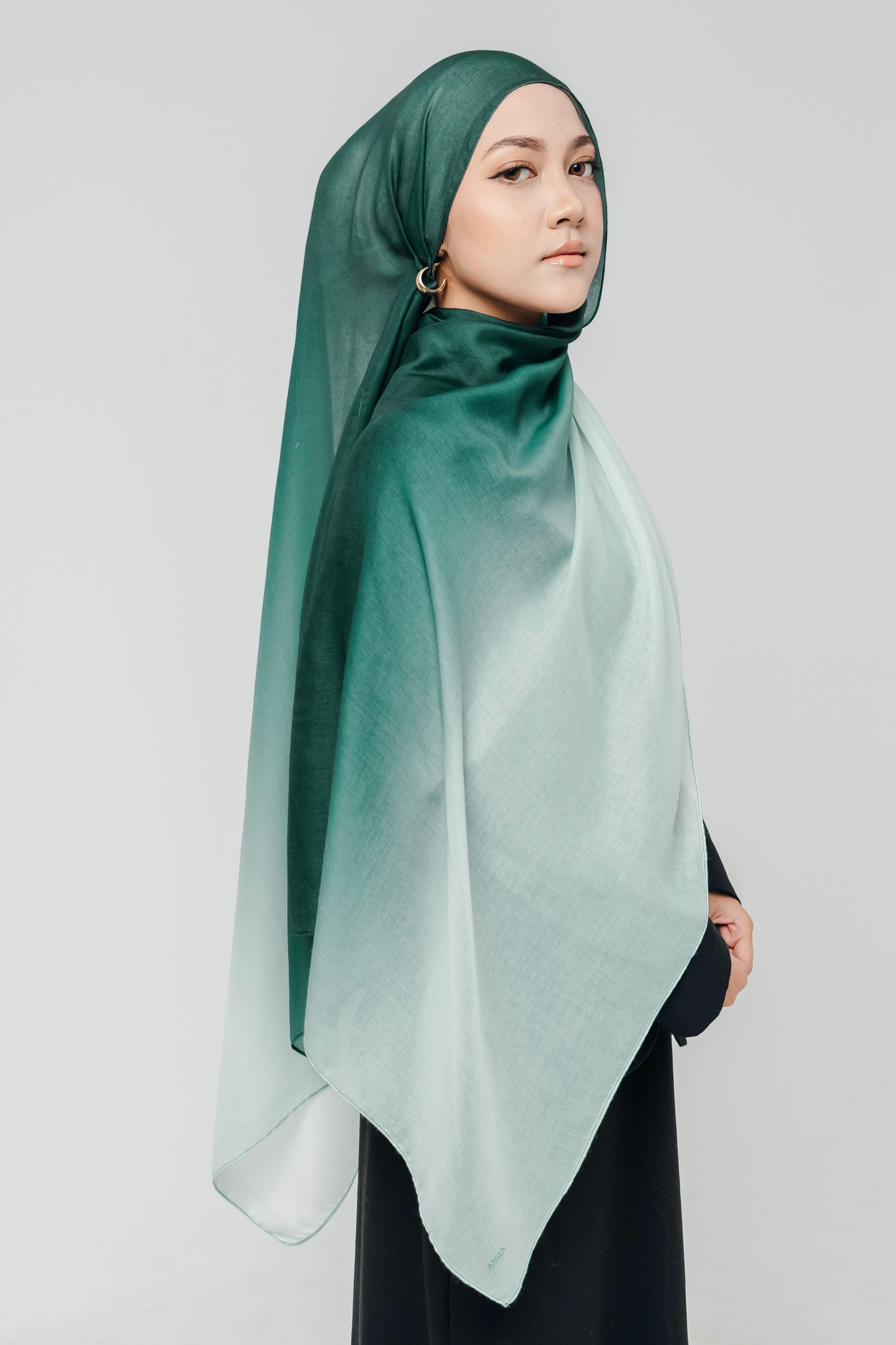 Ombre Green